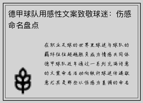 德甲球队用感性文案致敬球迷：伤感命名盘点